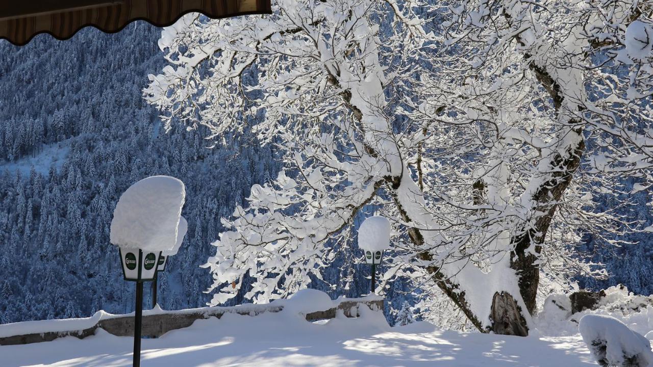 Gasthof Lamprechtbauer Kotschach-Mauthen Buitenkant foto